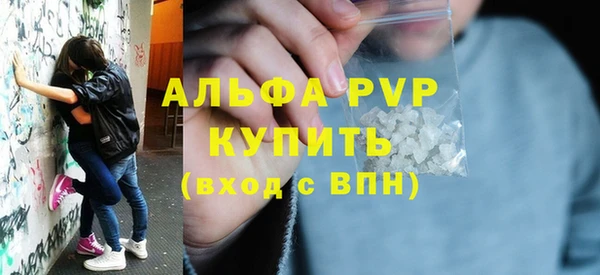 молекула духа Ладушкин
