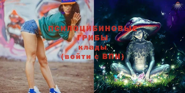 мяу мяу мука Куйбышев