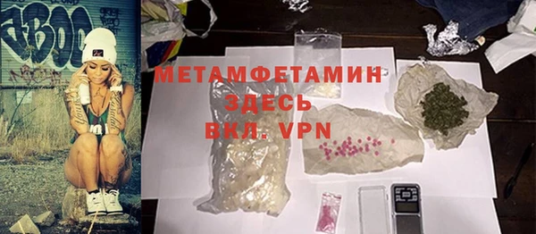 молекула духа Ладушкин