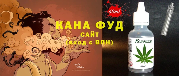 молекула духа Ладушкин