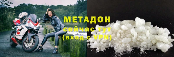 молекула духа Ладушкин