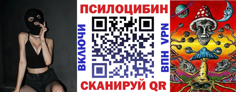 Галлюциногенные грибы Cubensis  Купить где  Зеленоградск 