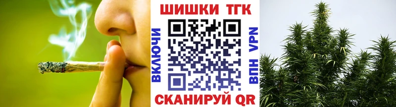 Купить где  Зеленоградск  Канабис ГИДРОПОН 